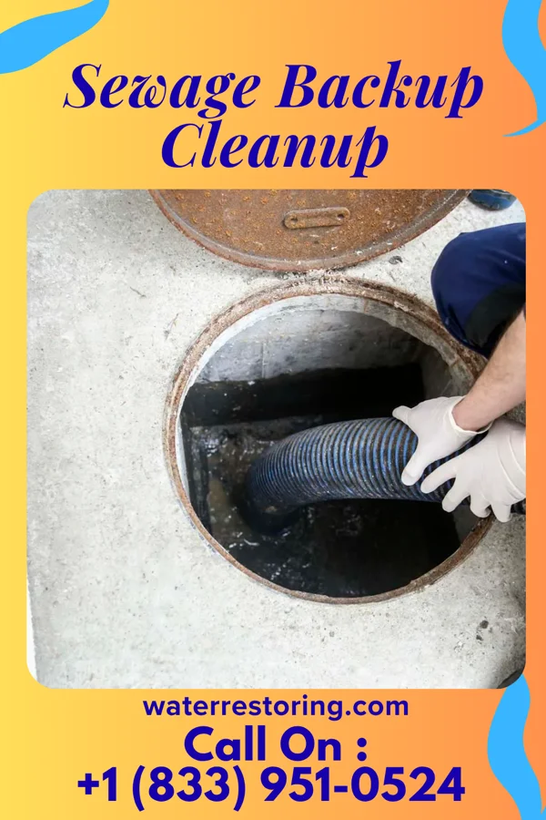Sewage Backup Cleanup in Manalapan, FL